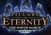 Pillars of Eternity - The White March Part II DLC EU Steam CD Key screenshot 2