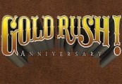 Gold Rush! Anniversary PC Steam CD Key