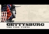 Gettysburg: The Tide Turns Steam CD Key screenshot 2