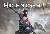Hidden Dragon: Legend Steam CD Key  screenshot 2