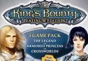 King's Bounty: Platinum Edition EU Steam CD Key screenshot 2