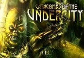 Catacombs of the Undercity PC Steam CD Key