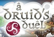 A Druid's Duel PC Steam CD Key screenshot 2