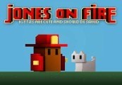 Jones On Fire PC Steam CD Key