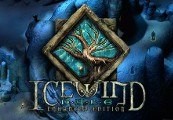 Icewind Dale: Enhanced Edition GOG CD Key screenshot 2