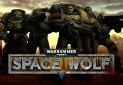 Warhammer 40,000: Space Wolf + Exceptional Card Pack DLC Steam CD المفتاح