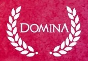 Domina Steam CD Key screenshot 2