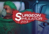 Surgeon Simulator 2013 Steam CD Key screenshot 2