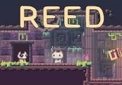 Reed Steam CD Key
