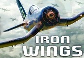 Iron Wings PC Steam CD Key screenshot 2