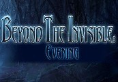 Beyond the Invisible: Evening Steam CD Key