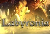 Labyronia RPG PC Steam CD Key screenshot 2