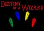 Destiny of a Wizard Steam CD Key Logo