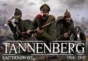 Tannenberg EU PC Steam CD Key  screenshot 2