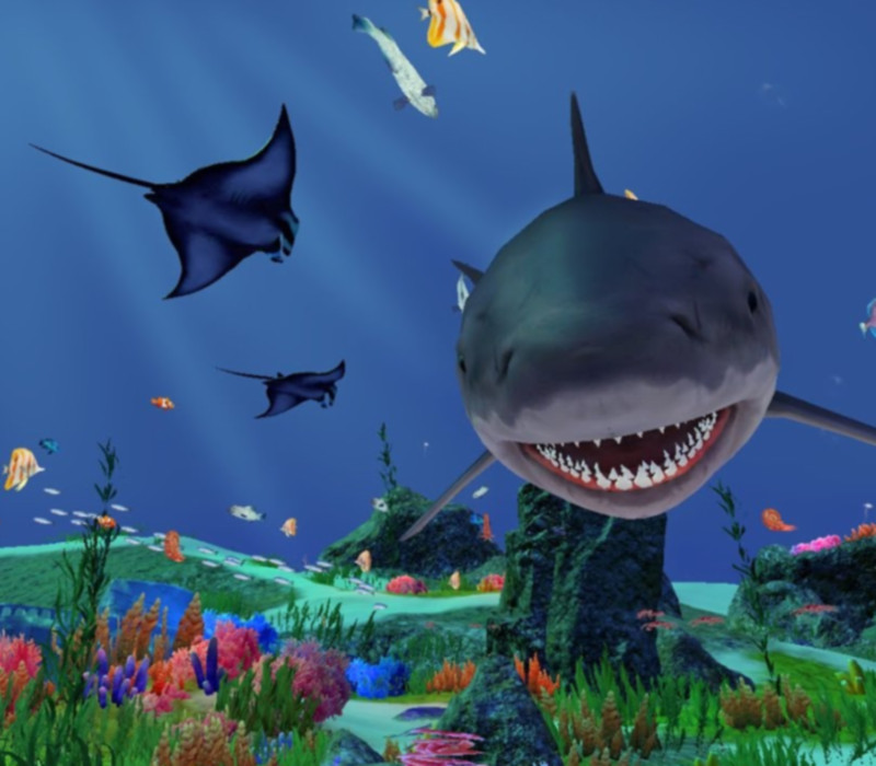 Fancy Fishing VR PC Steam CD Key