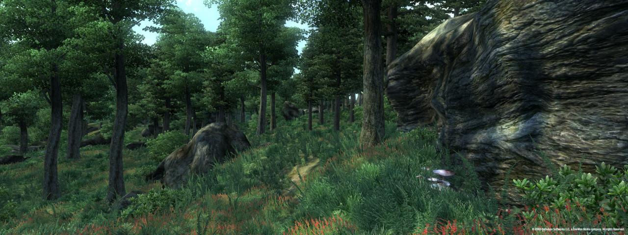 The Elder Scrolls IV: Oblivion GOTY Edition Steam Gift
