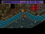 Landstalker: The Treasures of King Nole PC Steam CD Key screenshot 4