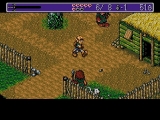Landstalker: The Treasures of King Nole PC Steam CD Key screenshot 6
