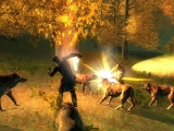Drakensang - Phileasson's Secret DLC Steam CD Key screenshot 4