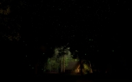 Fireflies Steam CD Key screenshot 4