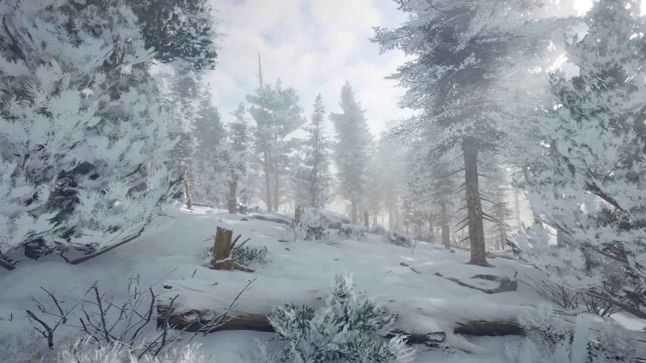 Northern Lights screenshot