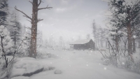 Northern Lights EU PC Steam Altergift screenshot 3