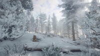 Northern Lights EU PC Steam Altergift screenshot 9