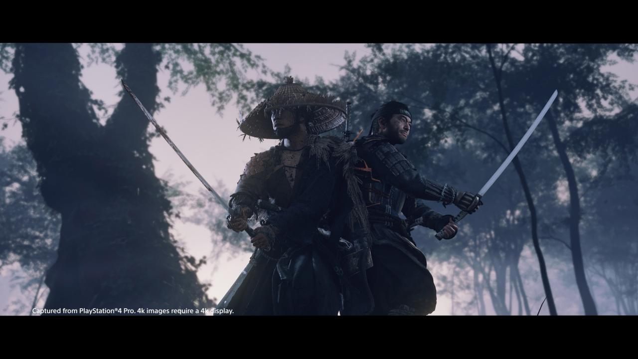 Ghost Of Tsushima PlayStation 4 Account Pixelpuffin.net Activation Link