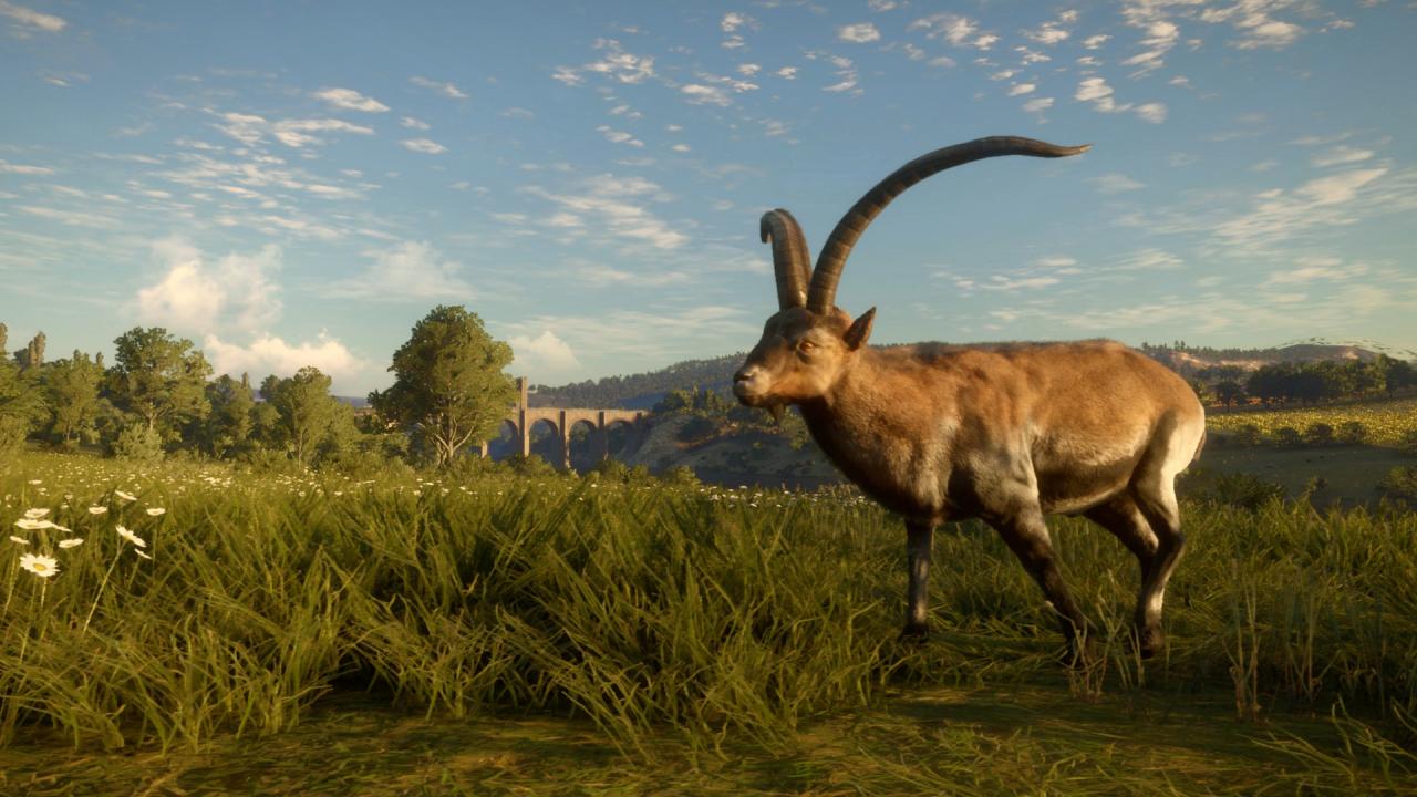 TheHunter: Call Of The Wild - Cuatro Colinas Game Reserve Steam Altergift
