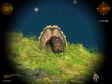 Hunting Unlimited 2008 Steam CD Key screenshot 5