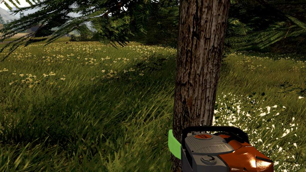 Forestry 2017: The Simulation Steam CD Key