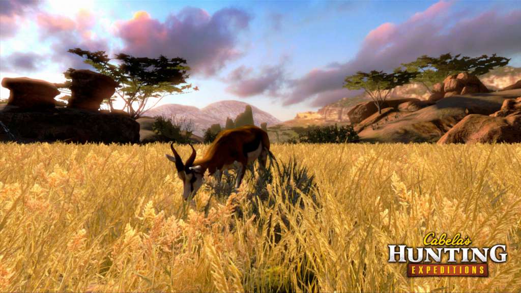 Cabela's Hunting Expeditions Steam CD Key