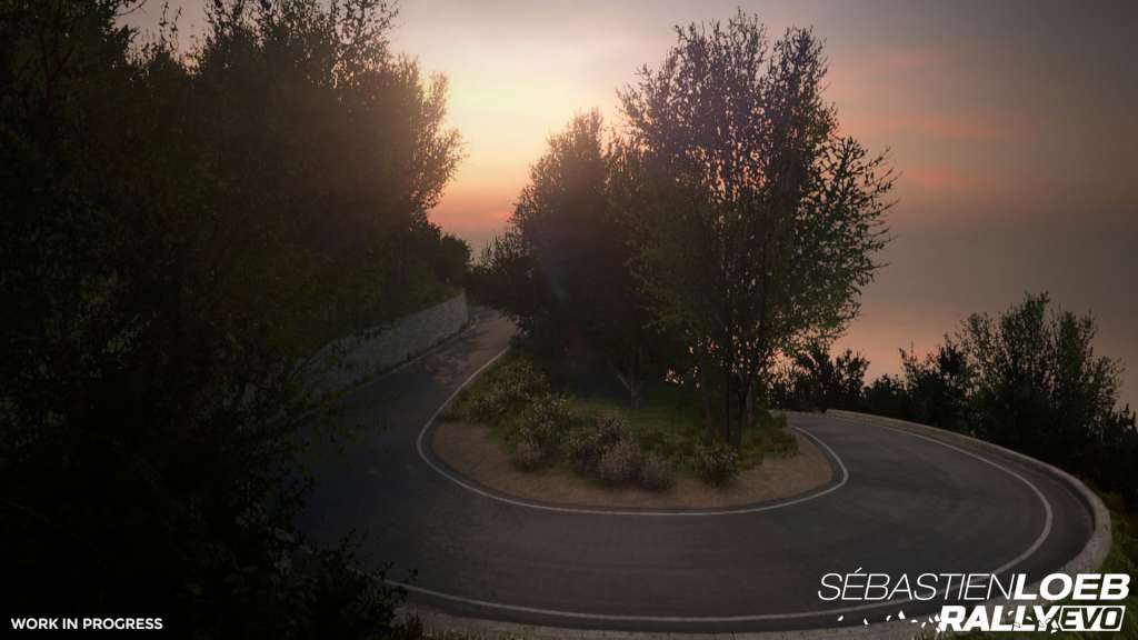 Sébastien Loeb Rally EVO Steam CD Key