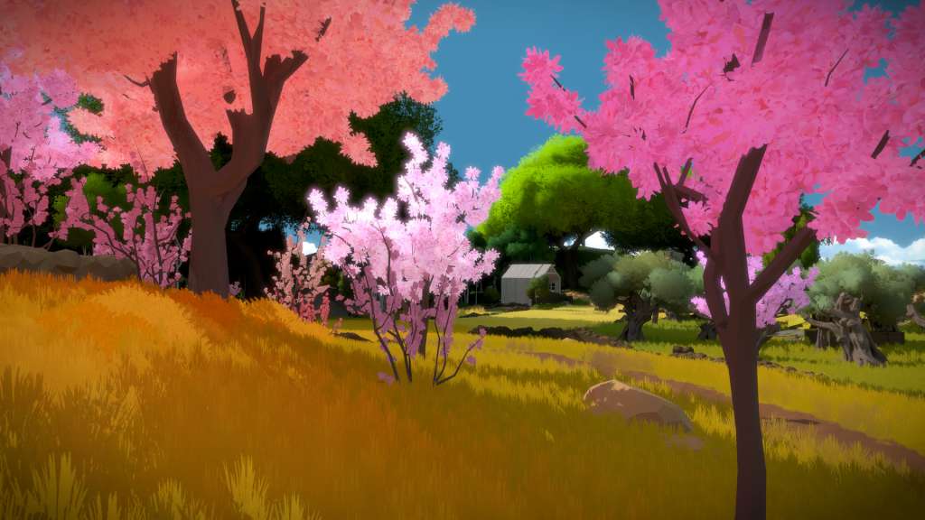 The Witness Steam Account
