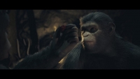 Planet of the Apes: Last Frontier XBOX One / Xbox Series X|S Account screenshot 6