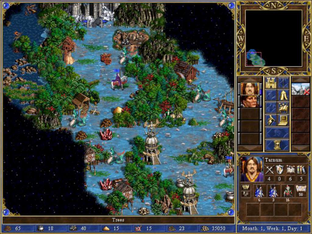 Heroes Chronicles: All Chapters GOG CD Key