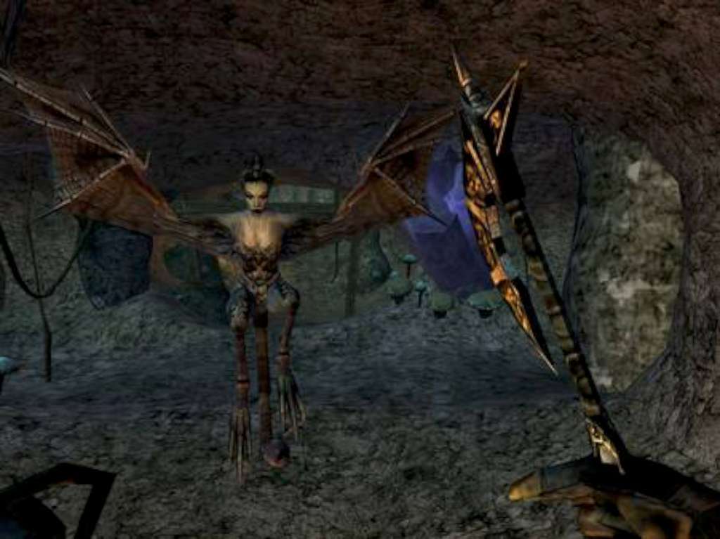 The Elder Scrolls III Morrowind GOTY EU Steam CD Key