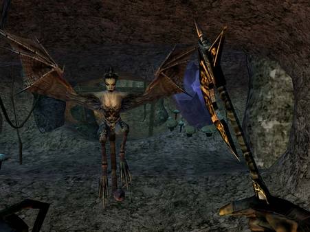 The Elder Scrolls III Morrowind GOTY Steam Gift