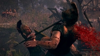 Total War: ROME II - Blood & Gore DLC PC Steam CD Key screenshot 7