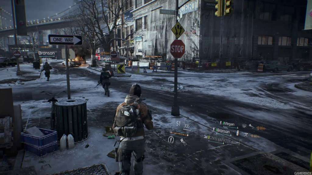 Tom Clancy's The Division PS4 Account