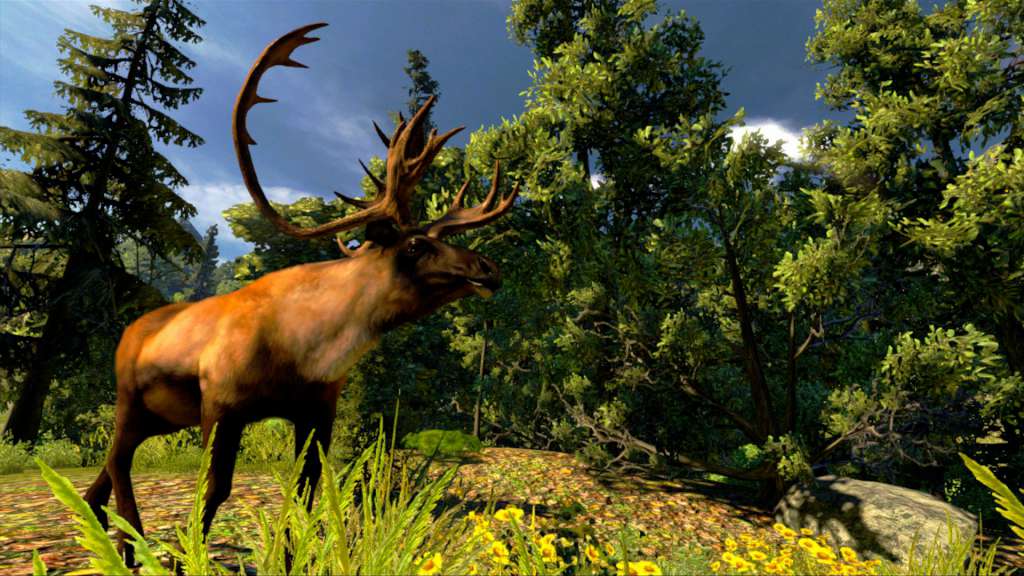 Cabela's Hunting Expeditions Steam CD Key