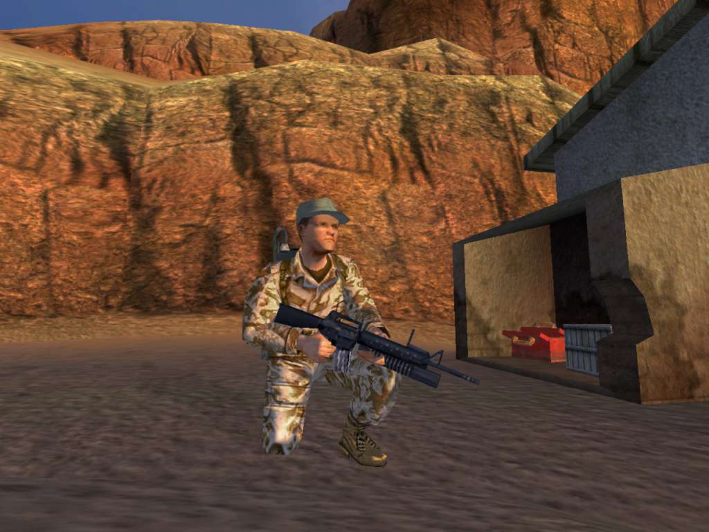 Conflict Desert Storm Steam CD Key