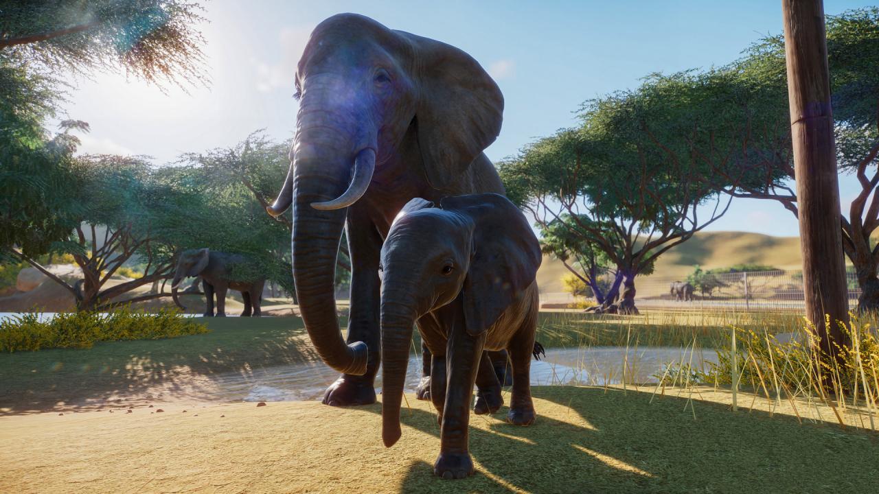Planet Zoo Steam Account