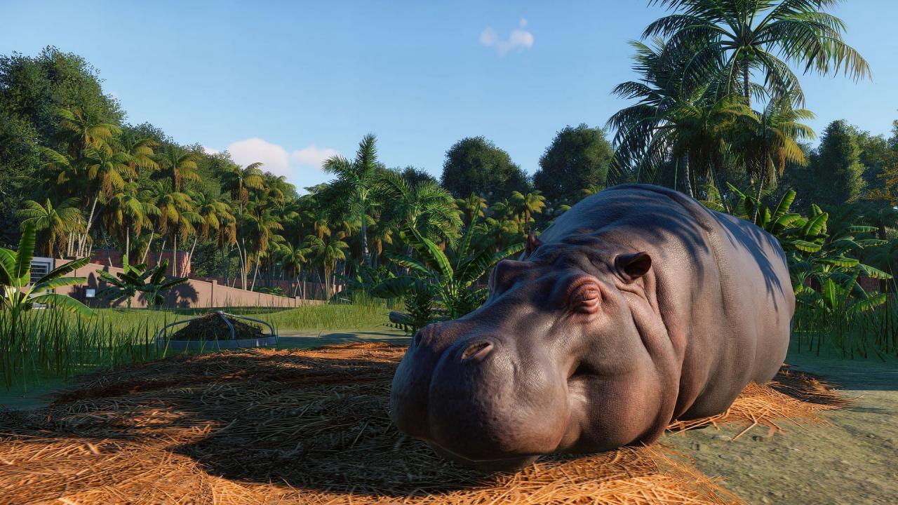 Planet Zoo Deluxe Edition EU Steam Altergift