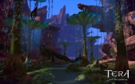 Tera Online Collector's Edition EU Digital Download CD Key screenshot 2