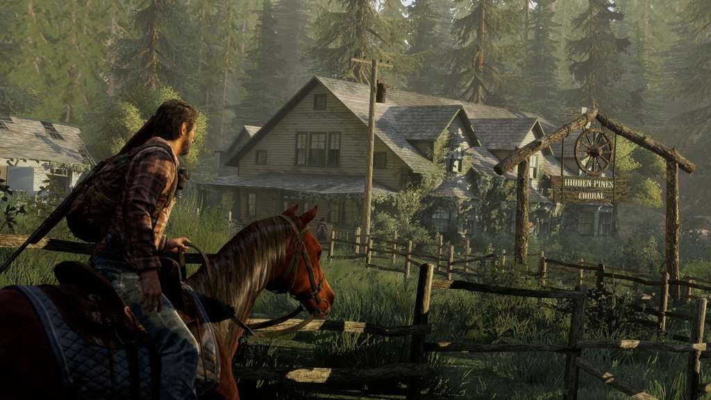The Last Of Us Remastered PlayStation 4 Account