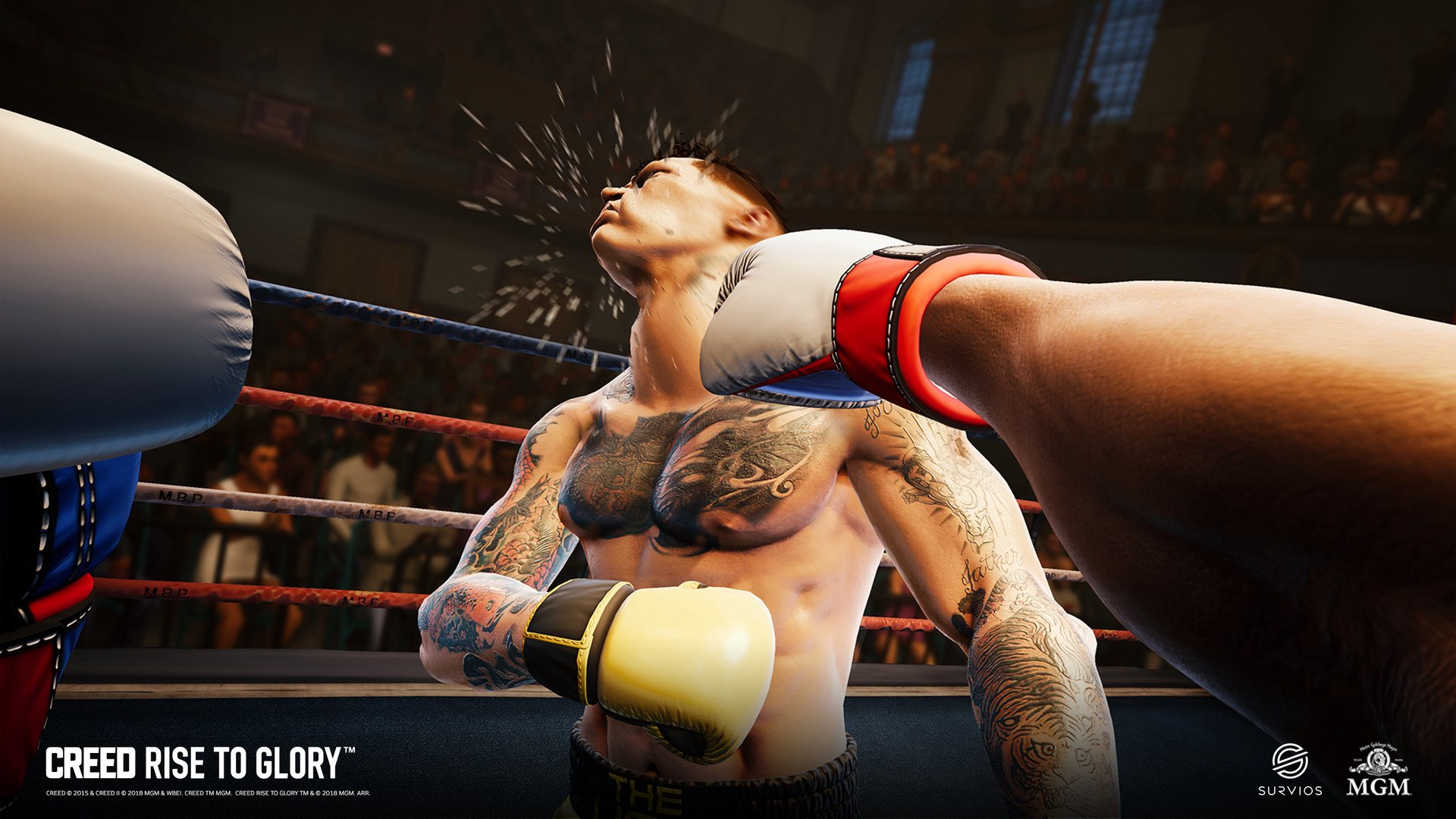 Creed: Rise To Glory Steam CD Key