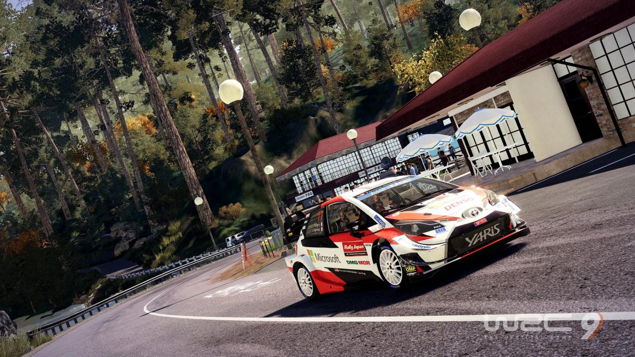 WRC 9 FIA World Rally Championship Steam CD Key