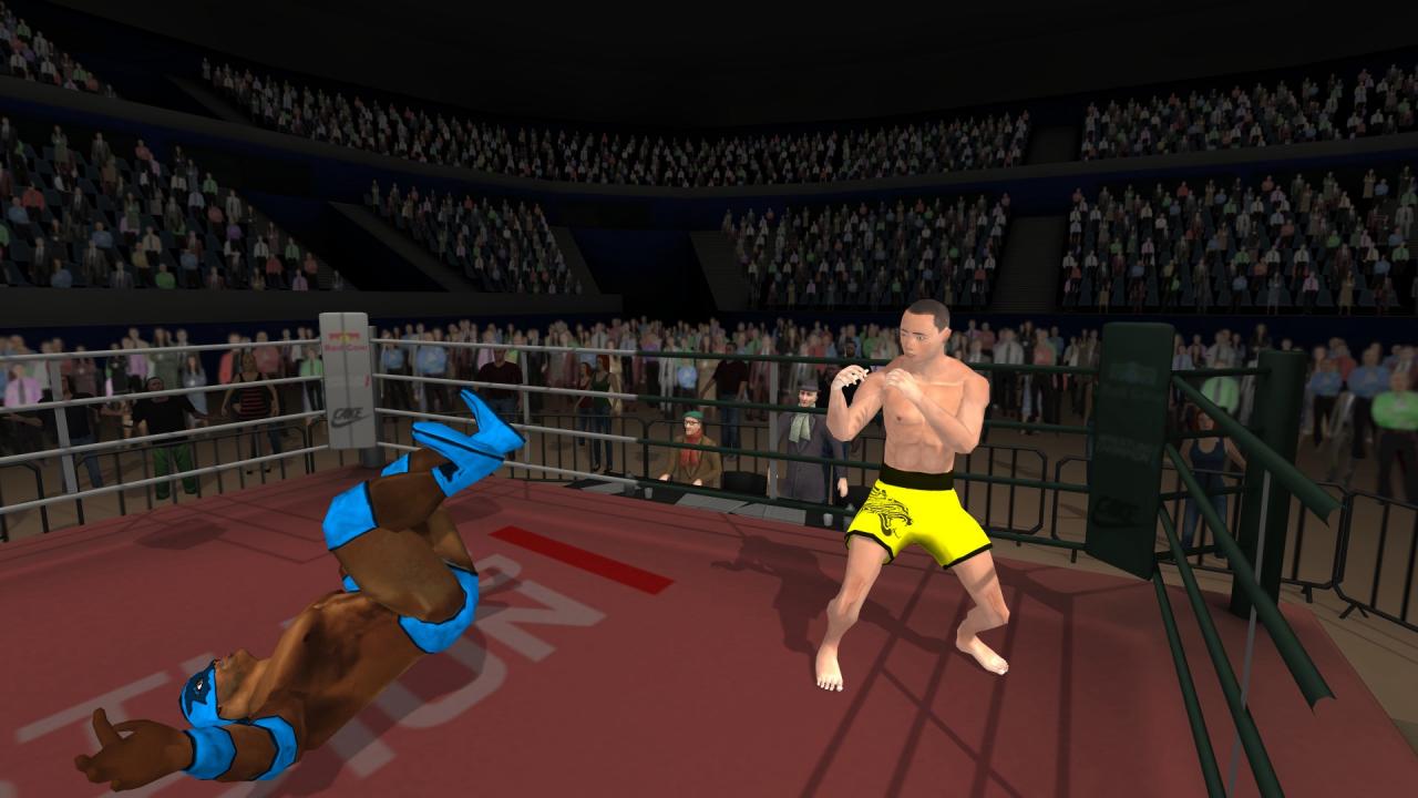 Wrestlers Without Boundaries Steam CD Key