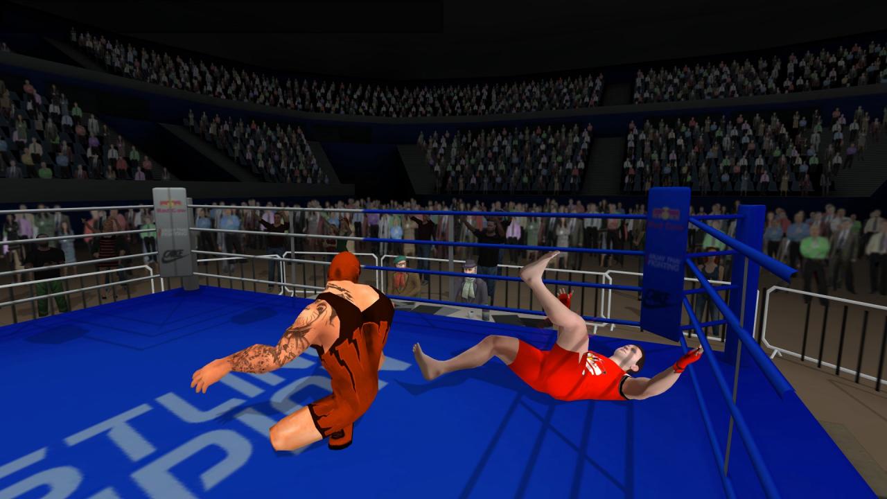 Wrestlers Without Boundaries Steam CD Key